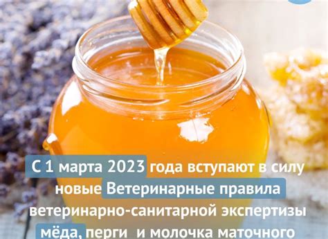 Автоматизация в контроле качества пчелопродукции