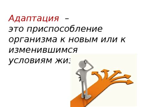 Адаптация к изменяющимся условиям и прогнозирование возможных проблем