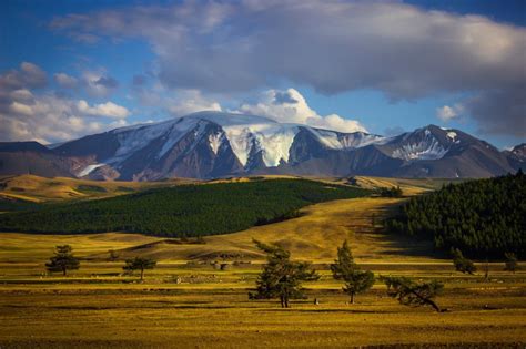 Амурская обл
Республика Тыва
