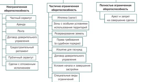 Анализ значений ограничений и оговорок