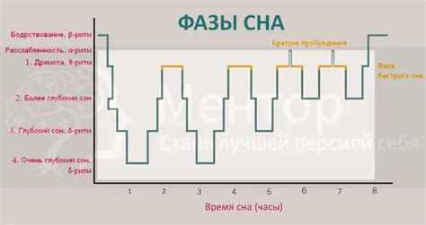 Анализ и значение сна