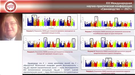 Анализ показателей корма