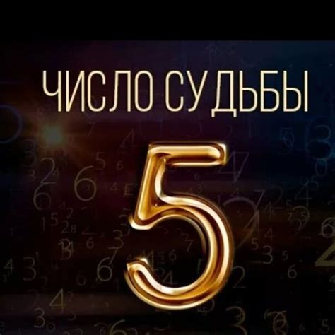 Анализ числа 6