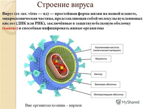 Аналогии вируса в реальной жизни