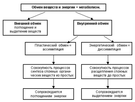 Анаэробный обмен веществ