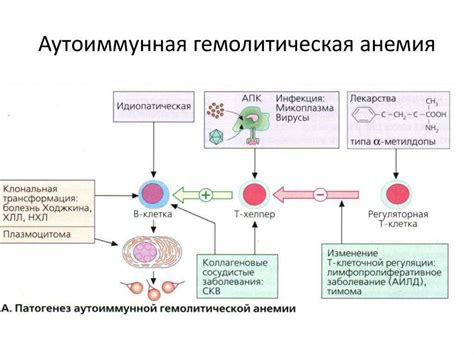 Анемия и тромбоцитопения