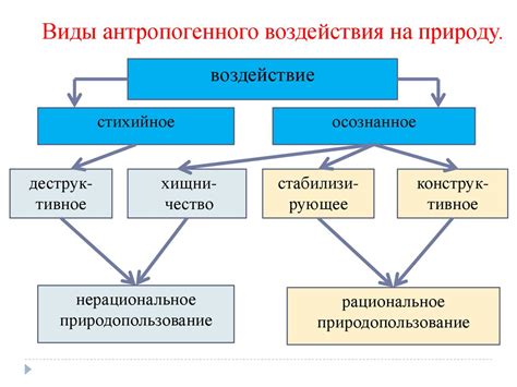 Антропогенное воздействие на окружающую среду