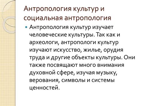 Антропология: исследование различных культур и обществ