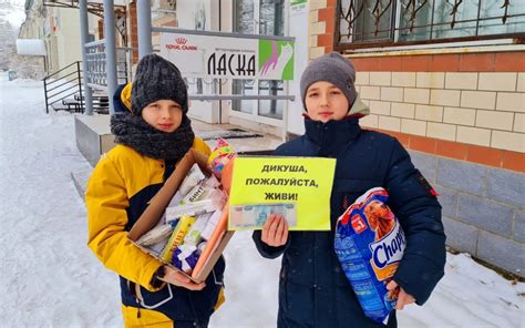 Ариана и добровольчество: помогать людям и любить животных