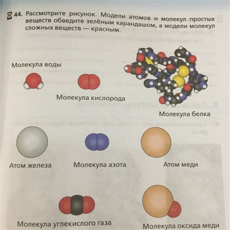 Атомы и молекулы в простых и сложных веществах: общие черты