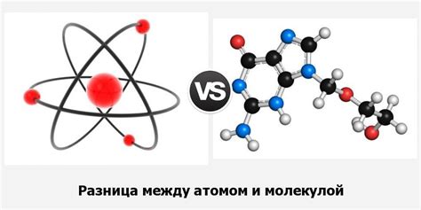 Атом и молекула в биологии