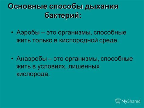 Аэробы в биологии: что это?