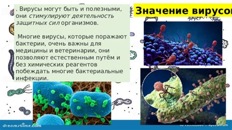 Бактериальные инфекции, которые могут быть переданы от животных