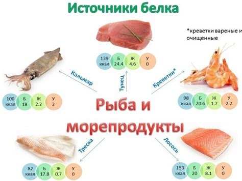 Белки: что это и где существуют