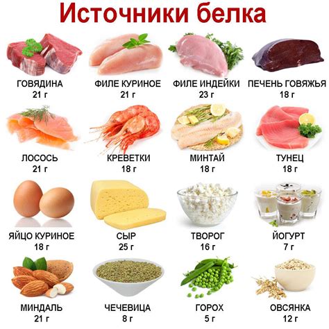 Белки в пище