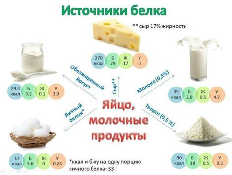 Белковая пища для прочных волос