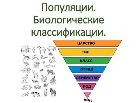 Биологическая классификация