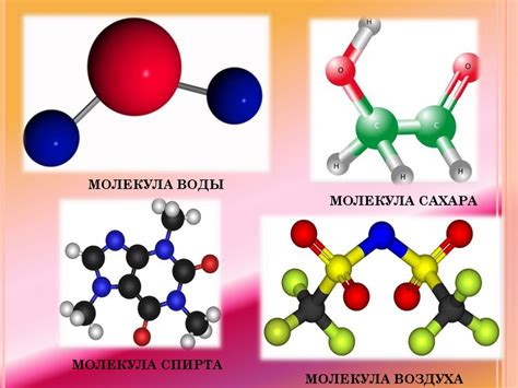 Биологические молекулы и их значимость