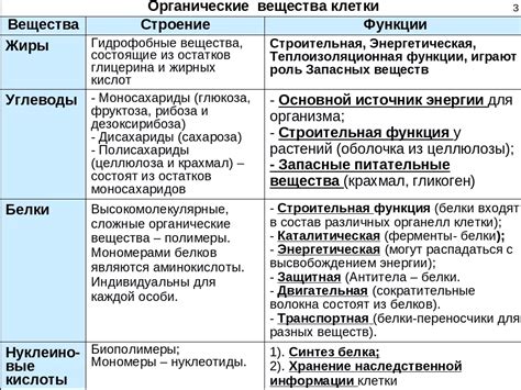 Биологические особенности и функции