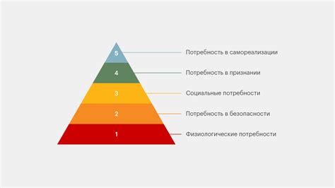 Биологические потребности и физиологические процессы