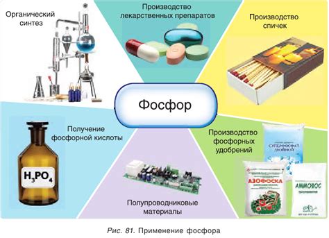 Биологические свойства фосфора: важность и влияние на живые организмы