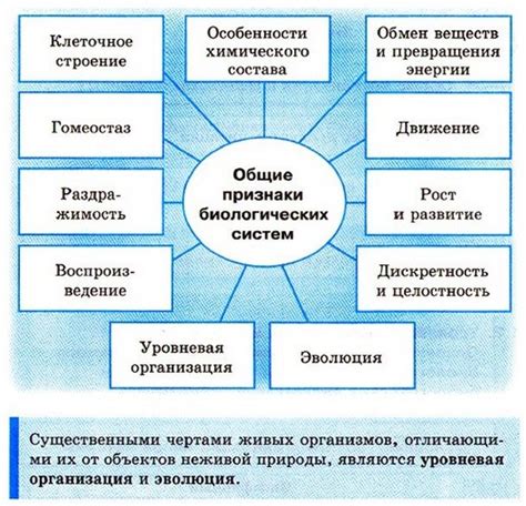 Биологические системы как информационные сети