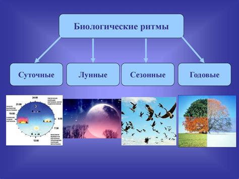 Биологические факторы и сновидения