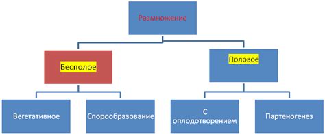 Биологический аспект человека