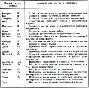 Биологическое значение и функции двух газов