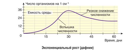 Биология и логарифмы: скорость роста популяций