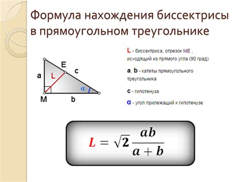 Биссектриса: основные характеристики