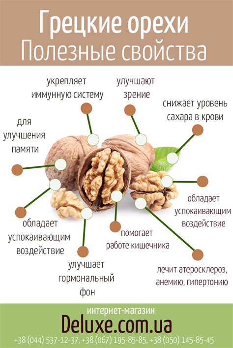 Благотворные свойства грецких орехов с медом для мужчин