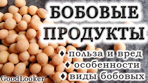 Бобы: вкусные и полезные продукты