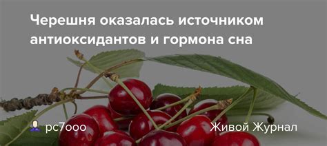 Богатое источником антиоксидантов