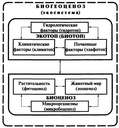 Богатство видов и экосистем