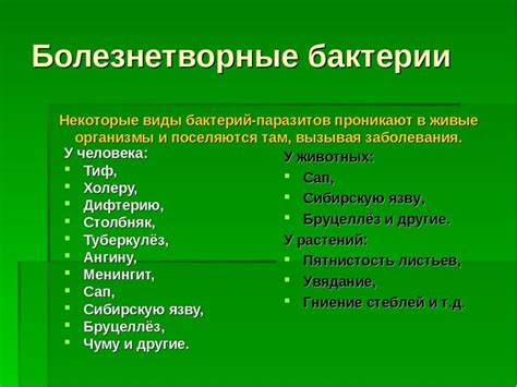 Болезни, вызванные бактериями: ангина, пневмония, иммунодефицит