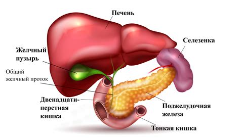 Болезни желчного пузыря