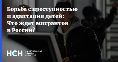 Борьба с преступностью в России: меры и достижения