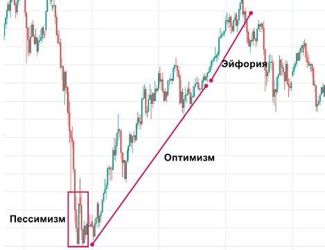 Бычий и медвежий рынок: использование осциллятора Билла Вильямса для их прогнозирования