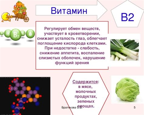 Б (витамин Б): нервная система, обмен веществ, энергия