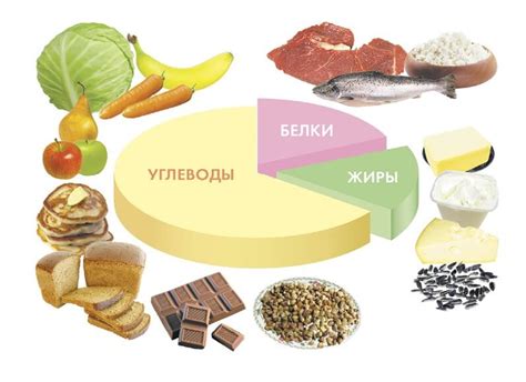 Важное значение питательных веществ