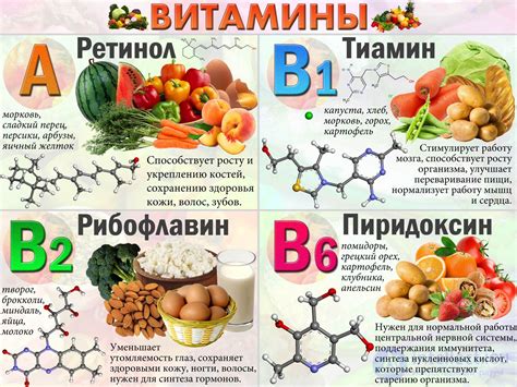 Важность витаминов группы б активная форма для организма