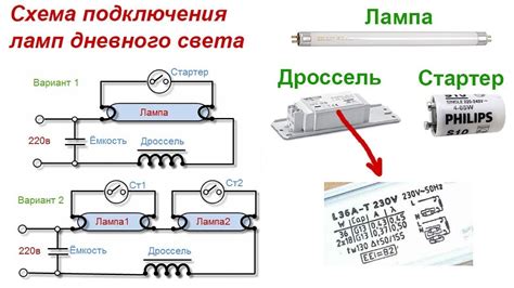 Важность дросселя для люминесцентных ламп