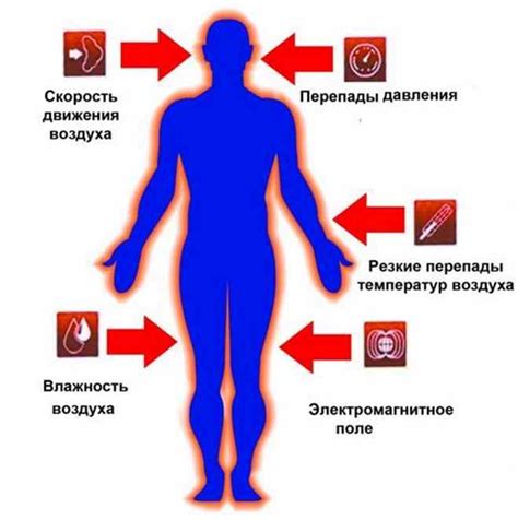 Важность микроклимата в помещениях