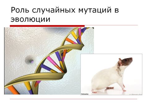 Важность мутаций в эволюции