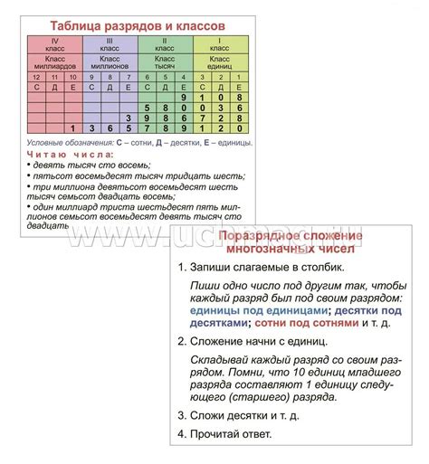 Важность понимания основных принципов биологии для здоровья