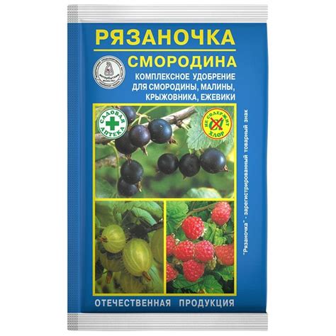 Важность правильного выбора периода подкормки для крыжовника