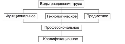 Важность разделения труда и специализации в производстве