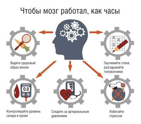 Важность регулярного контроля веса щенков