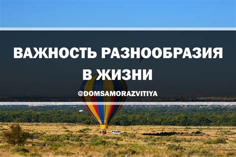 Важность систематики для понимания разнообразия жизни